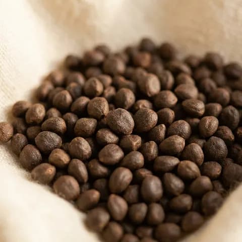 Ambreta
