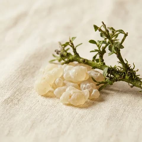Elemi