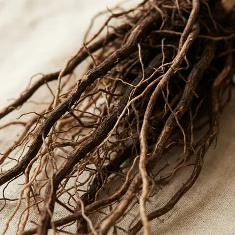 Vetiver