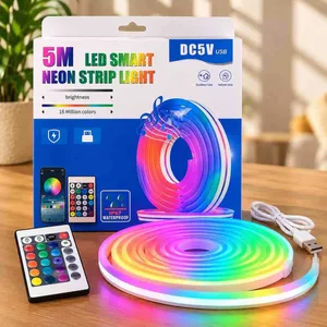 Neonska LED traka 5 m, 16 boja, USB, s aplikacijom i daljinskim